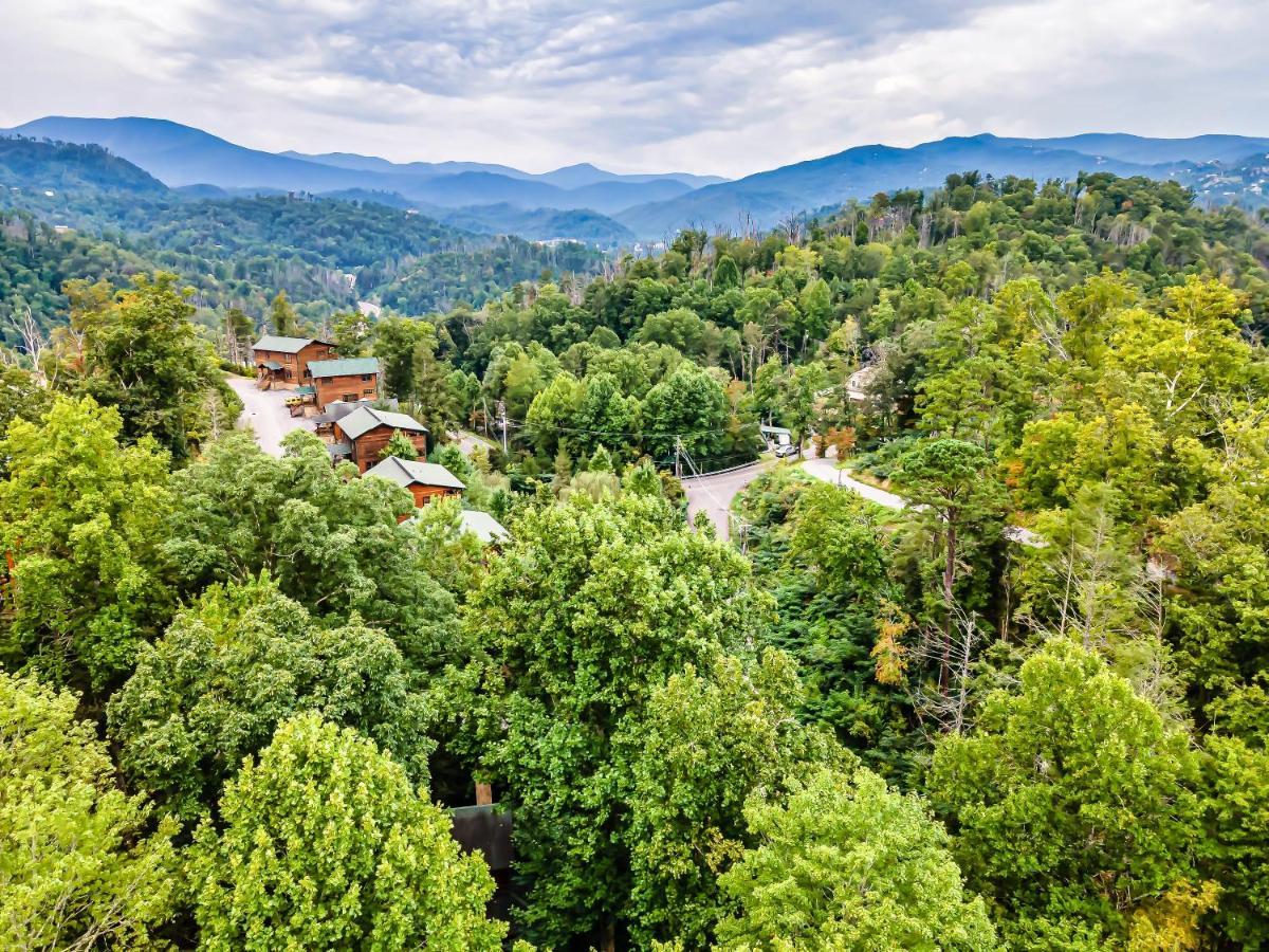 The Eagle'S Nest Mountain Cabin ガトリンバーグ エクステリア 写真
