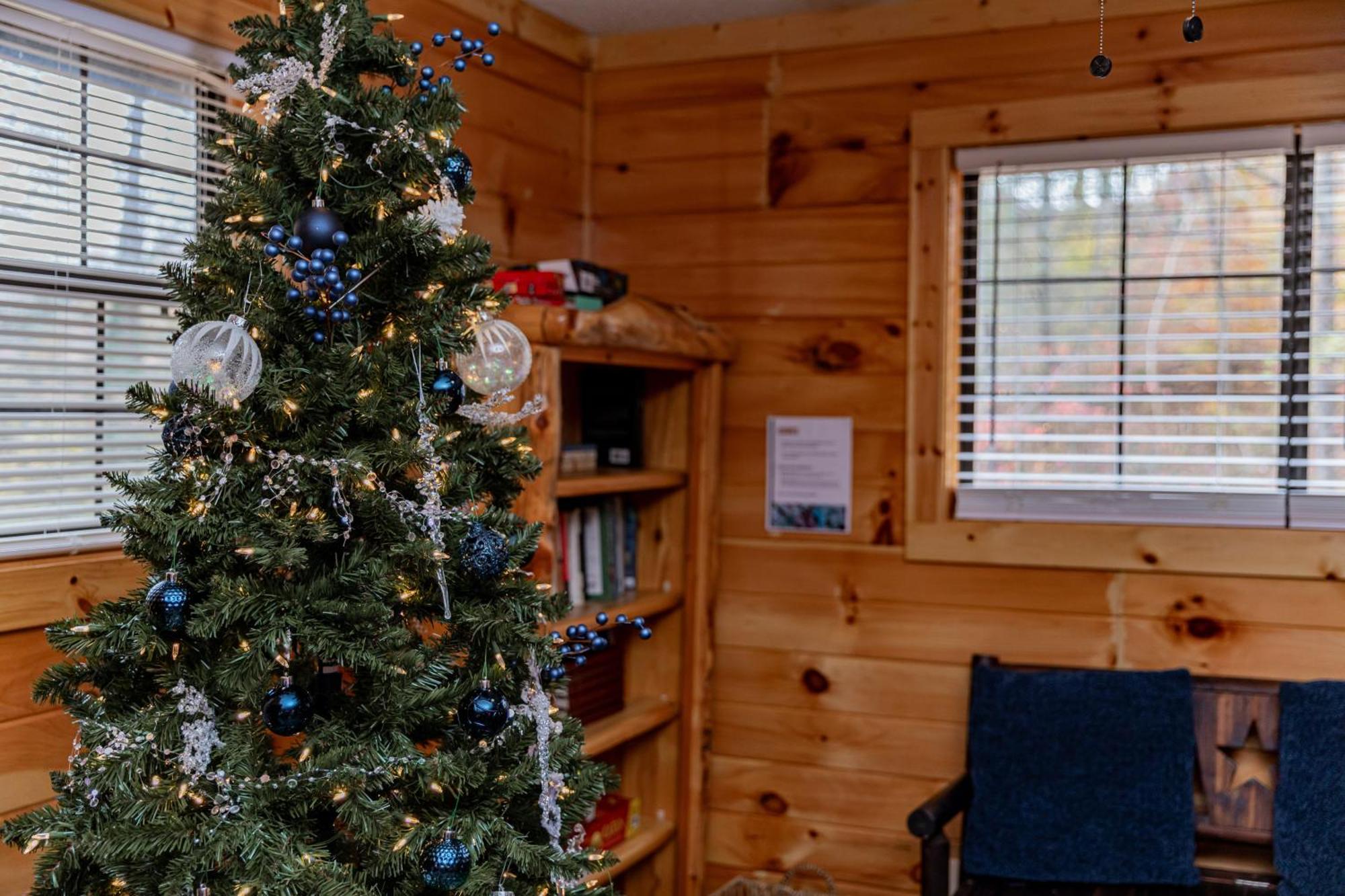 The Eagle'S Nest Mountain Cabin ガトリンバーグ エクステリア 写真
